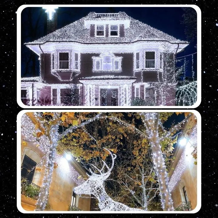 Extralink Lampki choinkowe - obrazek 6