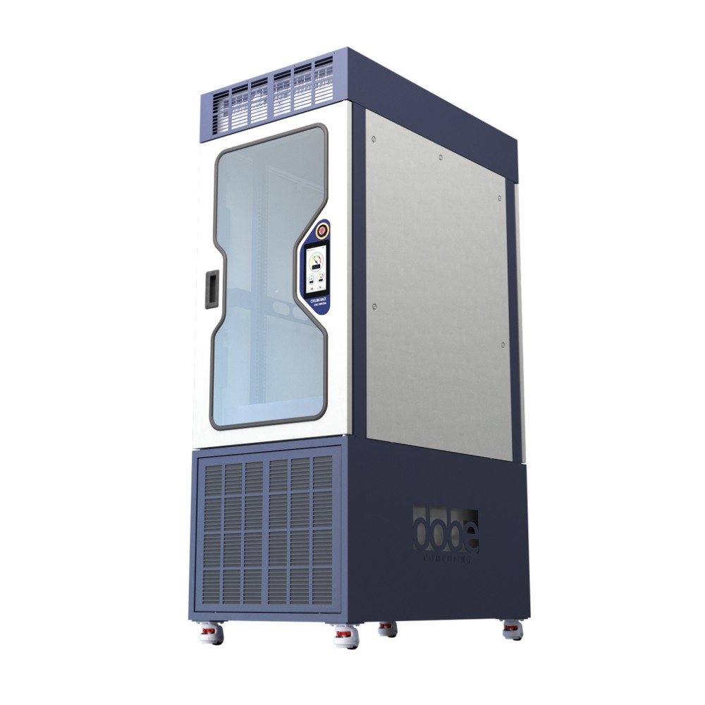 EXTRALINK EZDATACENTER ENTRY-ECO 22U 600X1000 STANDING CABINET